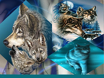 wolves1, abstract, wolves, art, animals, other, dogs HD wallpaper