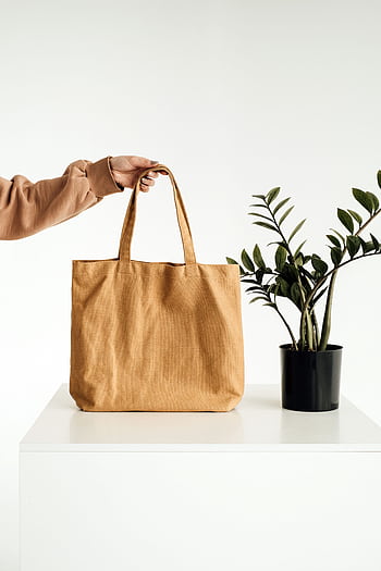 Stylish minimalist canvas tote bag held beside a potted green plant. HD phone wallpaper