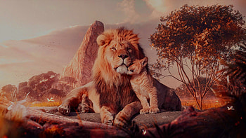 The Lion King, , Wptunnel HD wallpaper