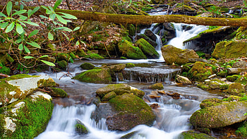 Balsam Mountain, North Carolina, creek, Rocks, landscape, water, usa HD wallpaper