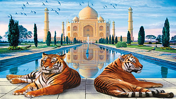 Taj Mahal, painting, art, tiger, pictura, tigru, water HD wallpaper
