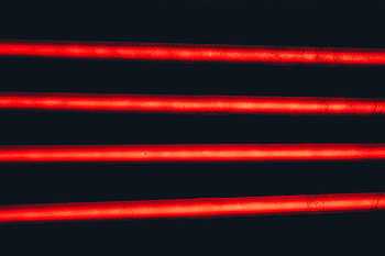 Miscellanea, Miscellaneous, Neon, Stripes, Streaks HD wallpaper
