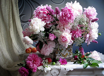 * PEONIES *, FLOWER, FLOWERS, PEONIES, NATURE HD wallpaper