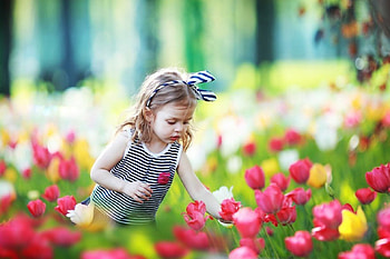 Girl, cute, abstract, graphy HD wallpaper