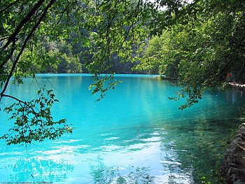 Landscape, Trees, Lakes HD wallpaper