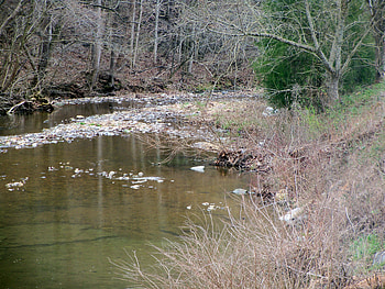 Roaring Rocky Creek, creek, nature, spring, brook HD wallpaper