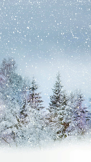 Snowfall beauty, Winter wonderland, Majestic snowflakes, Nature's white blanket HD phone wallpaper