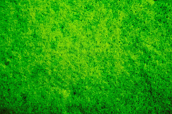 Macro, Texture, Textures, Moss HD wallpaper