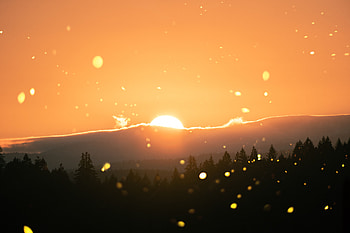 Landscape, Nature, Sunset, Sun, Glare, Sunlight HD wallpaper