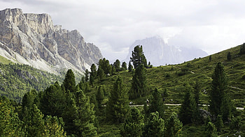 While hiking through Parco Naturale Puez-Odle in the Italian Dolomites, trees, clouds, sky, alps, forest HD wallpaper