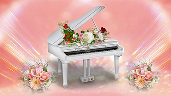 ~*~ Romantic Piano ~*~, , pink, piano, roses, flowers, romantic HD wallpaper