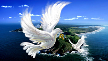 Peace in the world, animal, earth, peace, dove HD wallpaper