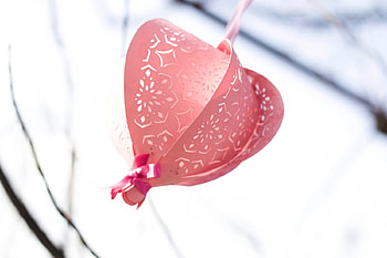 Garden sweet lantern, sweet, entertainment, garden, hanging, beautiful, paper, fashion, pretty, love, soft pink, romantic, lantern, forever HD wallpaper