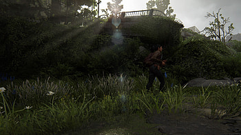 Running Seattle 4 (dina landscape), Dina (The Last of Us), The Last of Us Part II HD wallpaper