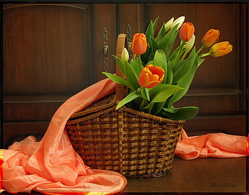 still life, bouquet, tulip, graphy, tulips, nice, basket, delicate, flower, , gracefully, beautiful, orange, gently, pretty, cool, flowers, scarf, lovely, harmony HD wallpaper