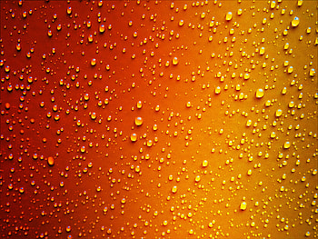 Red Yellow Dew Drop Wet , dew, drop, graphy, drops HD wallpaper
