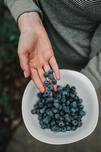 Food, Bilberries, Berries, Hand, Bowl HD phone wallpaper
