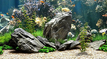 New cool aquarium background - Cool Aquarium Background Animal Best pertaining to Cool Aqua. Aquarium background, Fish tank, Aquarium, Ultra Aquarium HD wallpaper