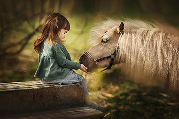 :), poney, treat, animal, horse, girl, copil, child HD wallpaper