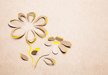 Flowers, summer, creative, flower, texture, paper HD wallpaper