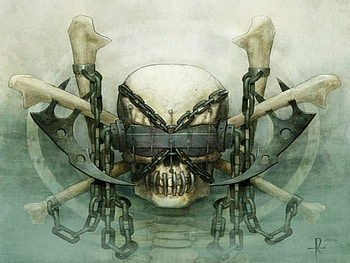 Skull, creepy HD wallpaper