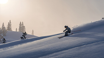 Ski — Silent Powder Descent, skiing, snow, winter HD wallpaper