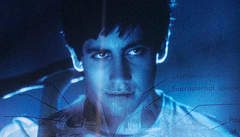 Richard Kelly, Donnie Darko, Announces plans, ?? HD wallpaper