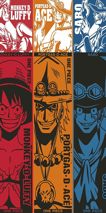 Brotherhood, Anime, Brothers, OnePiece HD phone wallpaper