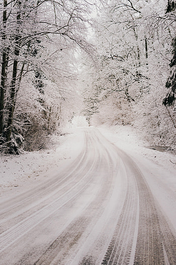 Winter, Nature, Trees, Snow, Bush, Road, Forest HD phone wallpaper