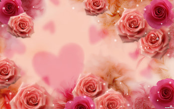 Plants, Flowers, Roses, Postcards HD wallpaper