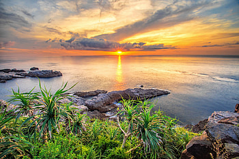 Golden Horizon — Sunrise Nature, horizon, nature, sunrise HD wallpaper