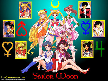 Sailor Moon, sexy, sailormoon, hot, cute, girl, collage, anime girl, anime, group, girls, female HD wallpaper