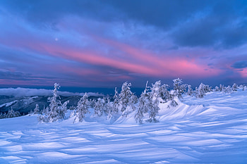 Landscape, Winter, Nature, Trees, Twilight, Snow, Dusk HD wallpaper