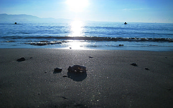 Nature, Sea, Sun, Beach, Shore, Bank, Shine, Light, Wet, Grains, Rubbish, Garbage HD wallpaper