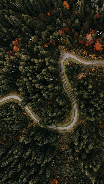 Nature, Trees, View From Above, Road, Turn, Forest HD phone wallpaper