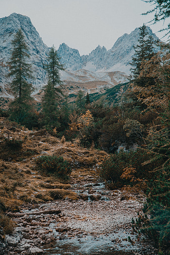 Landscape, Nature, Rivers, Trees, Mountains, Creek, Brook HD phone wallpaper