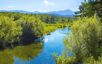 Nature, Rivers, Trees, Grass, Sky HD wallpaper
