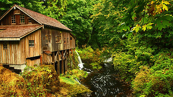 cedar creek grist mill in washington, creek, forest, rocks, mill HD wallpaper