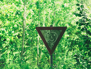 Trees, Miscellanea, Miscellaneous, Forest, , Drawing, Smile, Sign, Face HD wallpaper