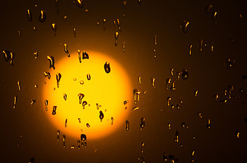 Nature, Sun, Drops, Glare, Glass HD wallpaper