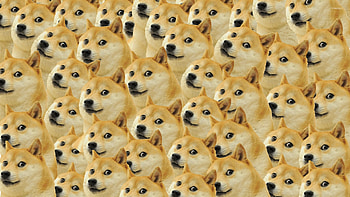 Doge pattern - Meme - HD wallpaper