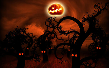 halloween night, night, halloween, creepy, dark HD wallpaper