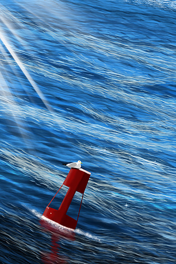 Art, Sea, Waves, Bird, Gull, Seagull HD phone wallpaper