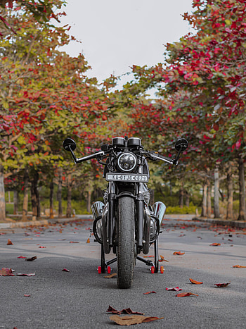 Leaves, Motorcycles, Asphalt, Front View, Motorcycle, Bike HD phone wallpaper