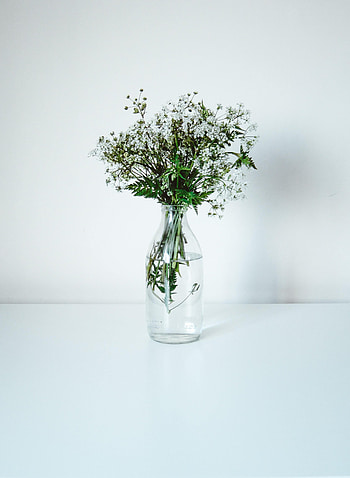Flowers, Minimalism, Bouquet, Wildflowers HD phone wallpaper
