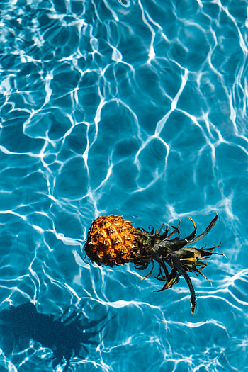 Water, Food, Tropics, Pool, Pineapple HD phone wallpaper