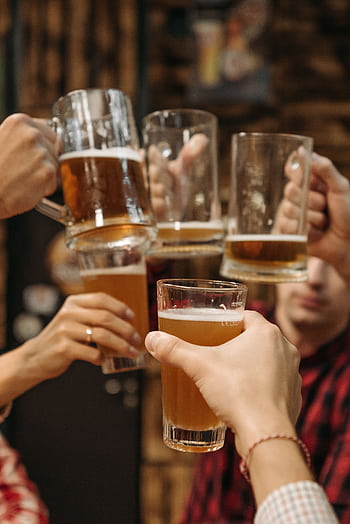 Group of friends clinking beer mugs, enjoying a fun gathering indoors. HD phone wallpaper