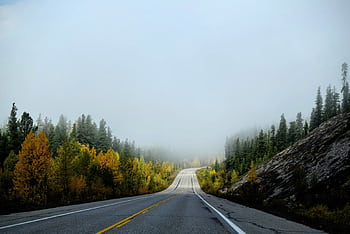 Misty highway cutting through autumn foliage with trees and mountains. Serene travel scene. HD wallpaper