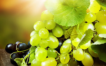 grape , Kitchen aesthetics, Grape vine, Visual appeal HD wallpaper
