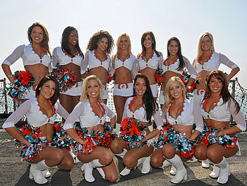 Dolphins cheerleaders, , Tablet HD wallpaper